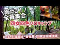 【覗き見👀四女四色ソロキャンプ】診療放射線技師・OL主任・保育士・会社員が雨の中集結!《雨キャンプ》《女子ソロキャンプ》《ソログルキャンプ》《ギア紹介》《広島キャンプ》《野呂山キャンプ場》