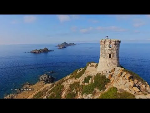 Image du reportage MEDITERRANEO –Autour de la Corse la riche biodiversité des îles et ilots qui entourent le territoire (France 3 Provence-Alpes-Côte d'Azur)