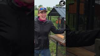 🌧️ Rough Day on the Farm | Storm Damage Chicken Coop #shorts #farming #farmlife #farm  #chicken