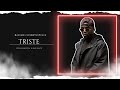 NINHO x SCH x ZKR TYPE BEAT 2023 " TRISTE " | Instru Type Rap Trap Sombre
