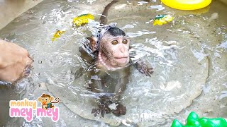 Cuties Mey Mey Swimming & Diving In The Bathtub With Mom