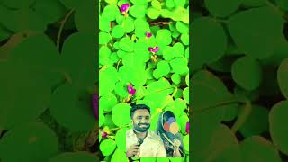 Khalbinte Theerathnew Song Sajeer Koppam Songs