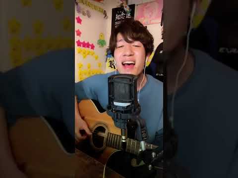 知念蓮/流星(cover)