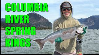 Columbia River Springer Salmon Fishing Action! Spring Kings Were CRUSHING Our SPINNERS!
