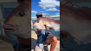 That's a big catch! #fishing #carpfish #lifeisbutadream