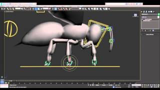 bee rig and animation test