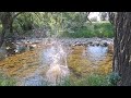 Beginning of video