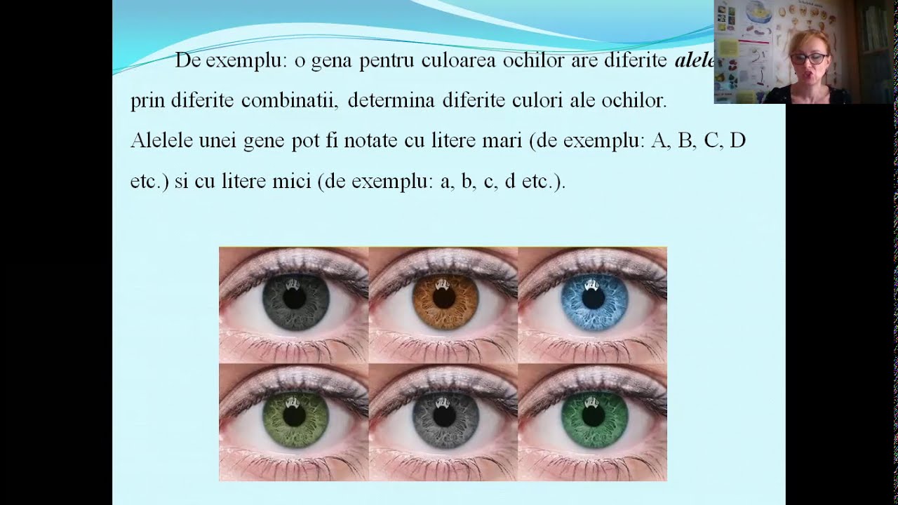 CARACTERE DOMINANTE, CARACTERE RECESIVE -Lectii de biologie clasa 8-a