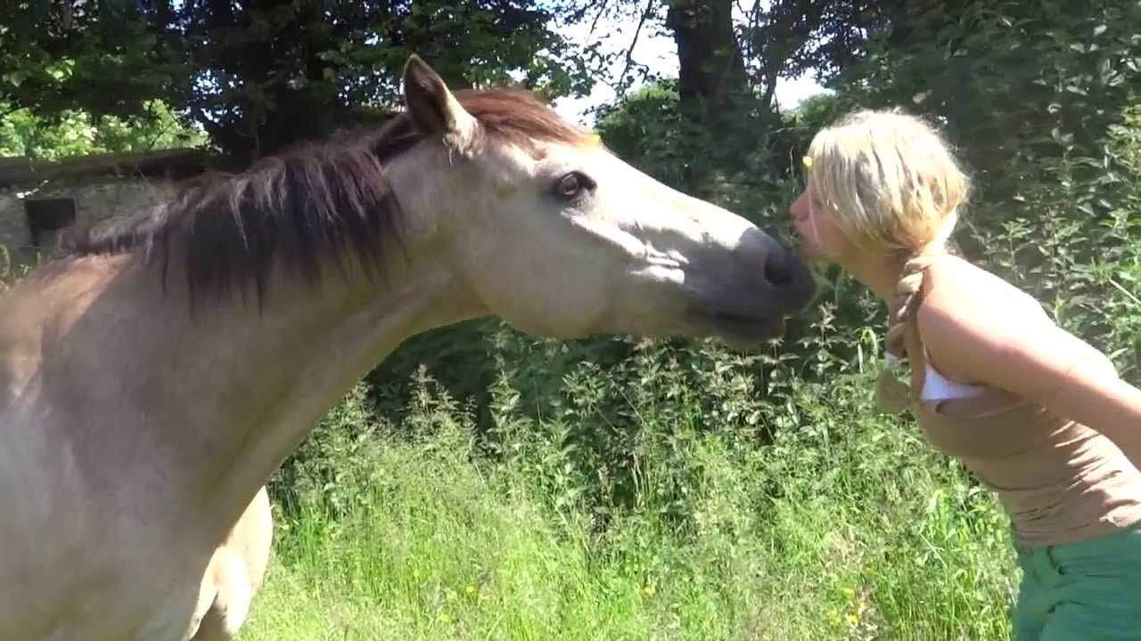 raws , tackles summery , tricks