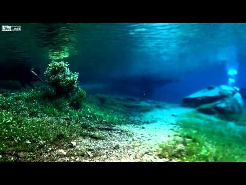 Diving in The
