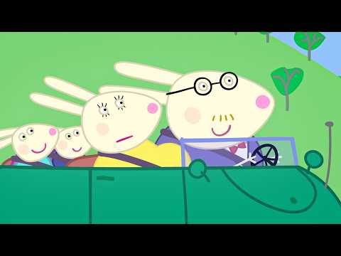 New Baby Rabbits On The Way 🐰🐷 Peppa Pig Full Episodes | Best of Daddy Pig