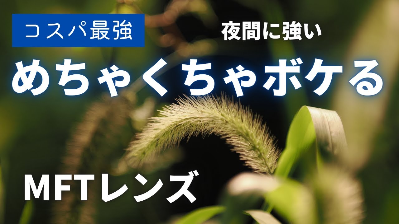 コスパ最強】めちゃくちゃボケる マイクロフォーサーズレンズ SIRUI