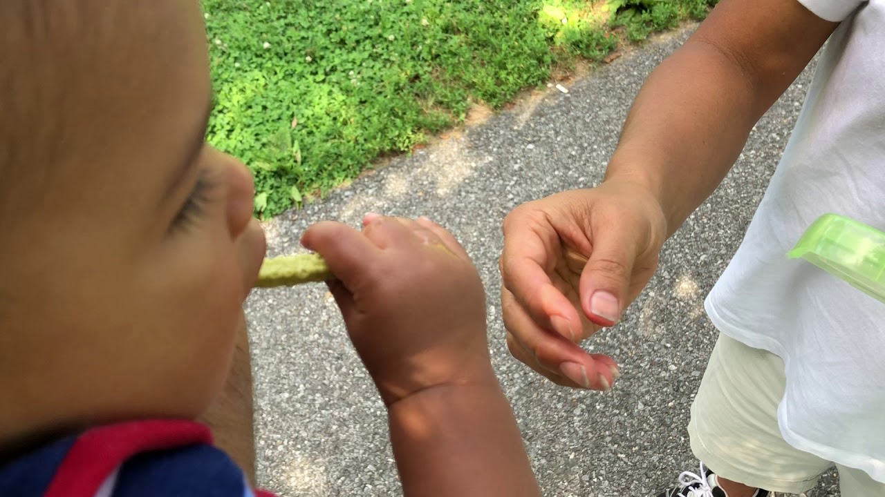 Veggie Straw 251 YouTube