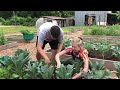 UGArden harvest and helping college students with food insecurity | GPB News