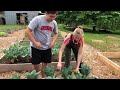 UGArden harvest and helping college students with food insecurity | GPB News