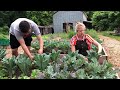 UGArden harvest and helping college students with food insecurity | GPB News