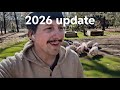 Homestead Update 2026: Cute Piglets Arrive… But Not Everything Went Right