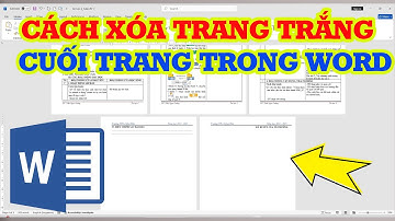 Cách xóa trang trắng trong Word ở cuối trang nhanh nhất