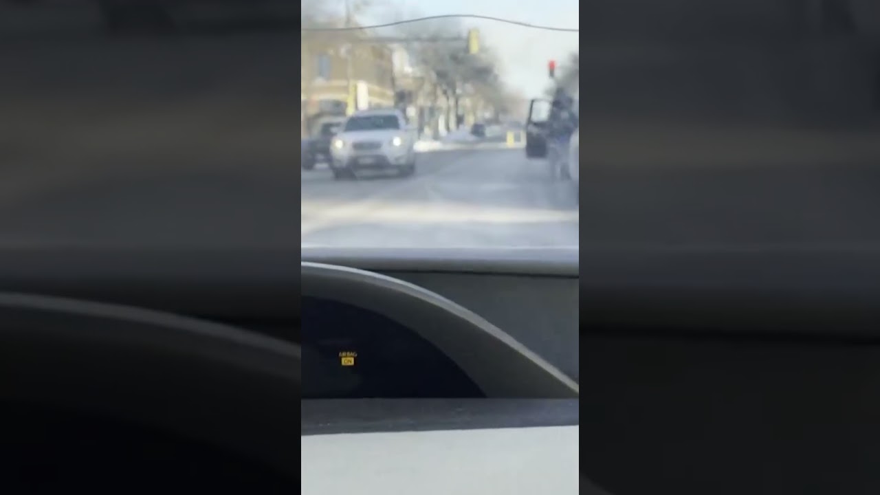 Alex Pretti Calmly Talks with Federal Agents Before Being Shot to Death, on Video