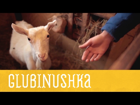 Глубинушка. День 6. Деревня | Иностранец в России | Моя Планета