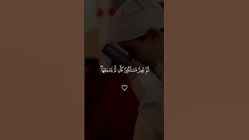 #القرآن_الكريم #ياسر_الدوسري #تلاوة_هادئة