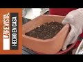 Â¿Cómo transformar un árbol a Bonsai?
