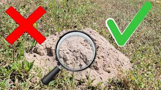 Details Good or Bad The Benefits of Gophers and Why Some Trap Them. Guide