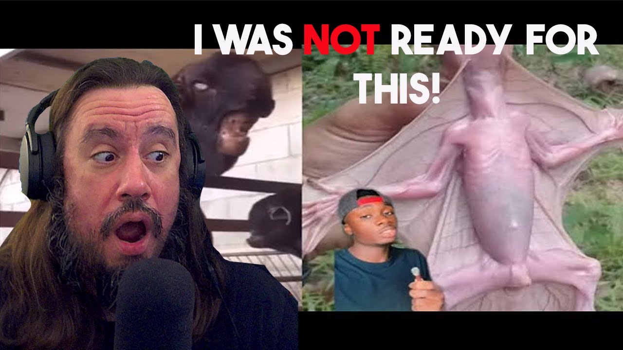 Vet Reacts! *I Was Not Ready For This* If you never saw it before, you wouldn’t believe it was real