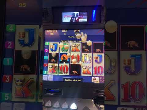 🔴🇺🇸 Seminole Hard Rock & Casino || Hollywood Florida || Must Visit