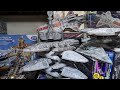 ドイツレベル リパブリックスターデストロイヤーを作る【後半】