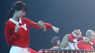 ふてニャンと桐谷美玲が一緒にダンス！ Y!mobile新CM「素晴らしいワイモバイル」編（メイキング）