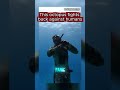 Octopus Fights Back Against Diver