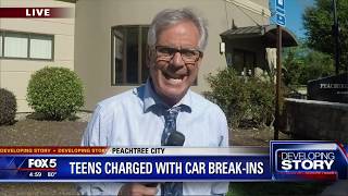 Teen charged with car break ins