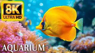 Aquarium 8K ULTRA HD - Beautiful Relaxing Coral Reef Fish - Relaxing Sleep Meditation Music