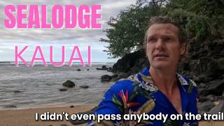 Hiking Kauai s Hidden Gem The Kaweonui Sealodge Beach Trail