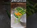 हरी मिर्च खाने के फायदे #viralreels #fashiontrends #youtubeshorts #trendingshorts #shorts