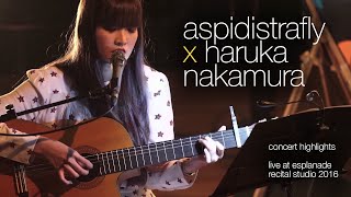 The Show Goes On…line: ASPIDISTRAFLY × haruka nakamura (2016) | Offstage