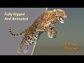 Leopard 3D Model Animated Fur video