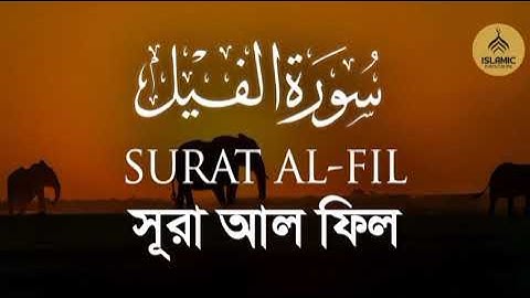 Surah Fil | سورة الفيل I সূরা ফীল | মনমুগ্ধকর তিলাওয়াত | Heart Touching Tone | Islamic Disclosure