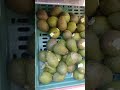 প্রবাসী ভাইদের জন্য একটা ফল দিলাম ফলটার নামটা কি কমেন্টে বলবে