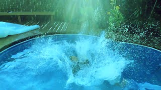 Slow Motion Pool Jump February 2016