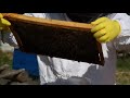 V J SMITH BOOK TRAILER THE BOOK RIB RECIPES