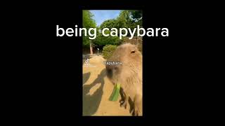 Capybara Egg Epik