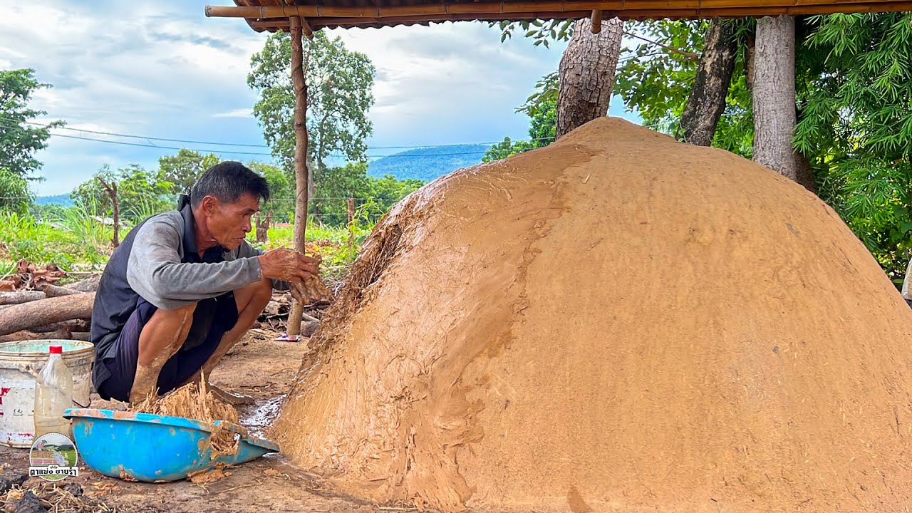 EP443 เผาถ่านไว้ใช้เอง พ่อใช้เตาดินเผาถ่าน พ่อเอาไม้ลงเตาให้เต็มแล้วก็ปั้นดินเหนียวปิดเตา