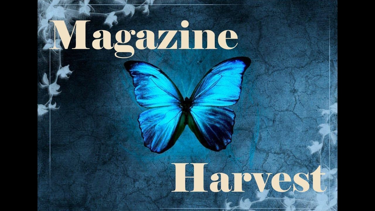 Magazine Harvest || Let's Tear Some Crap Up!