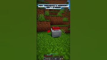 Minecraft skull edit(tas)