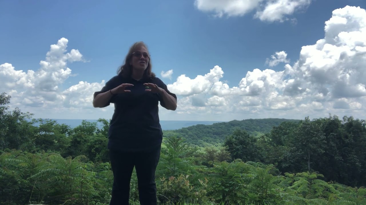 Fall 2025 Course Preview - Autumn in Your North Alabama State Parks