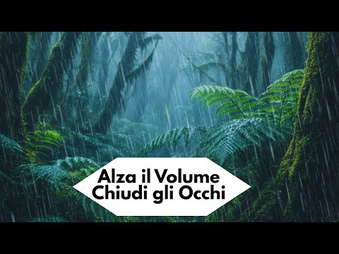 Alza il volume, chiudi gli occhi: 30 minuti di pioggia per liberare la mente 🌧️