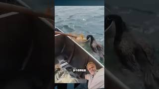 very good #fishing lovely 🌹 fishing trending video green 💚 screen shot subscribe like