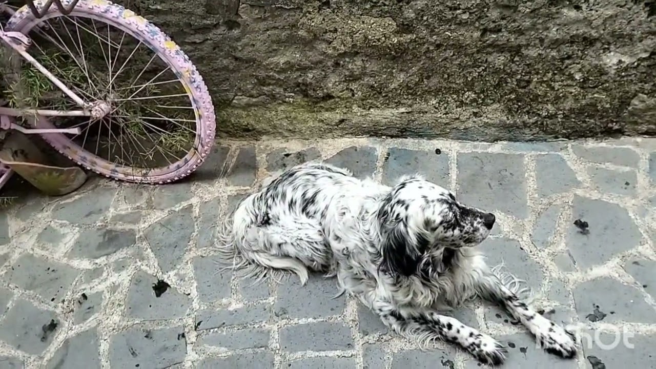 Как испортить своё здоровье.